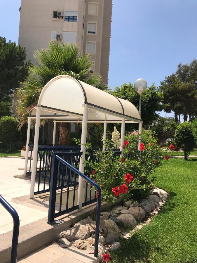Playa Dos Avenidas 阿利坎特 外观 照片